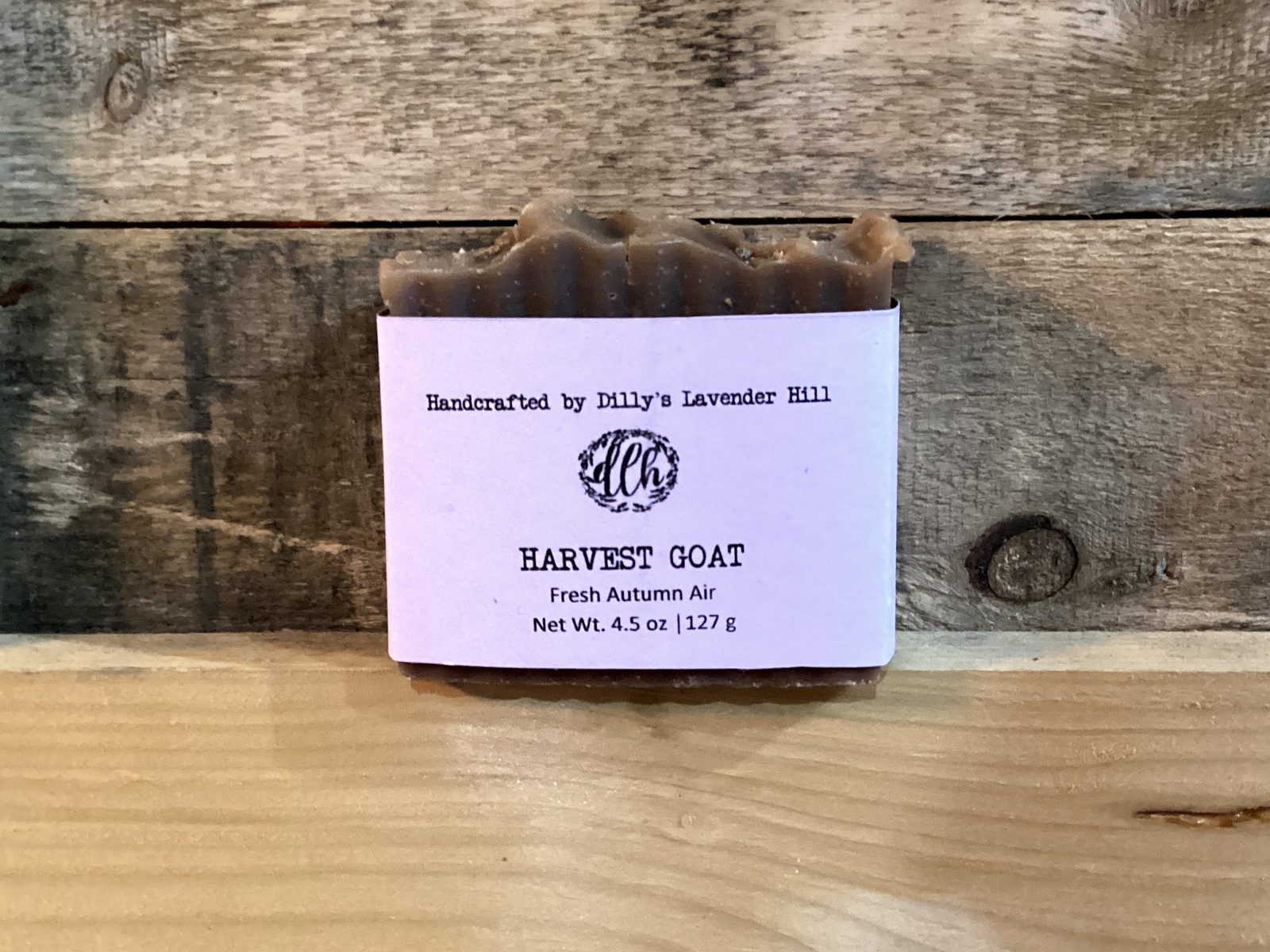 Farm scene with goats